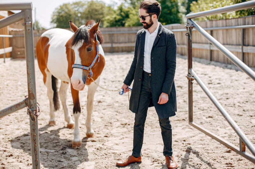 BK Horse