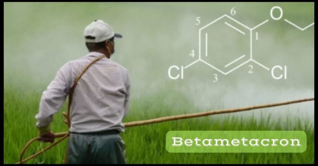 Betametacron