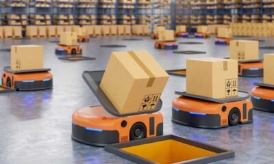 Streamlining Packaging Processes: The Role of Label Management in Packaging Management