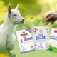 The Rise of Holle Goat Milk Formula: Why American Parents are Choosing it Over Cow's Milk