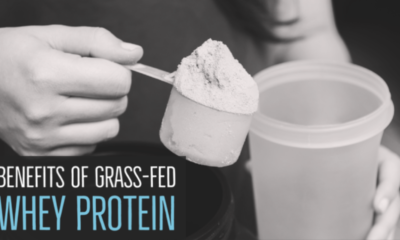 Why Grass-Fed Whey Protein is a Top Choice for Athletes
