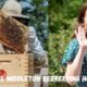 kate middleton beekeeping hobby