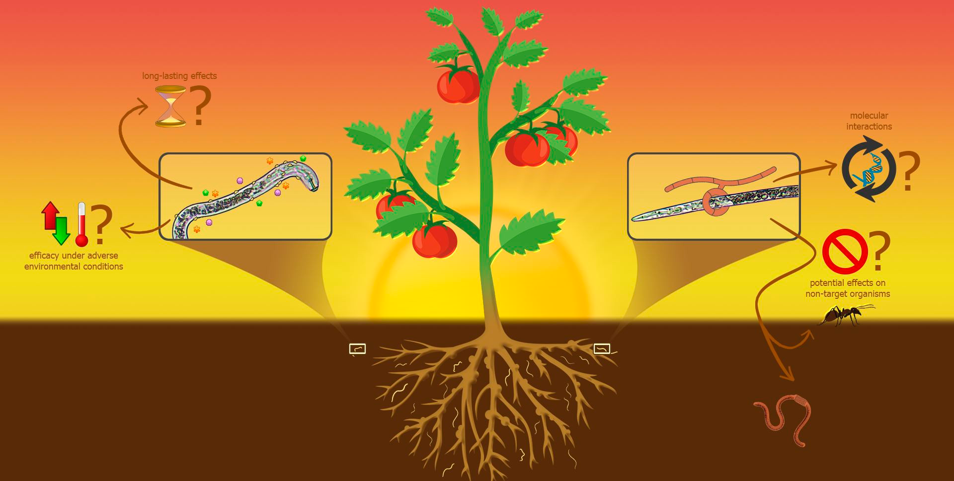 Biological Control Methods for Root-Knot Nematodes in Banana Cultivation