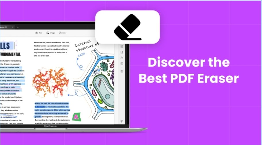 PDF Erasers