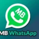 MB WhatsApp