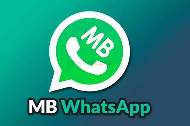 MB WhatsApp