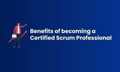 Scrum Professional