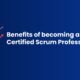 Scrum Professional