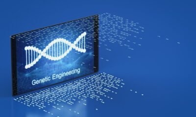 Conversion of CHR Coordinates to Gene IDs