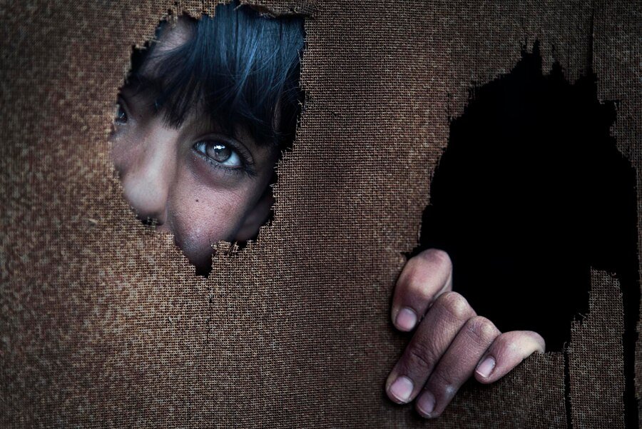 Shelly Knotek