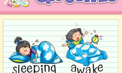 Sleepy Stickers