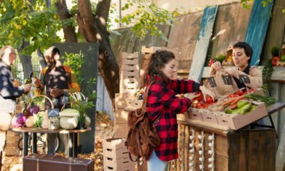 Pallet Bar