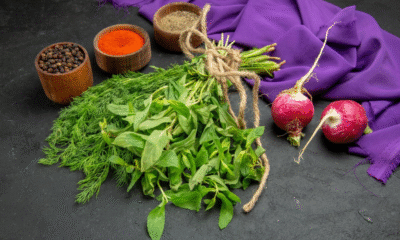 Indian Cress