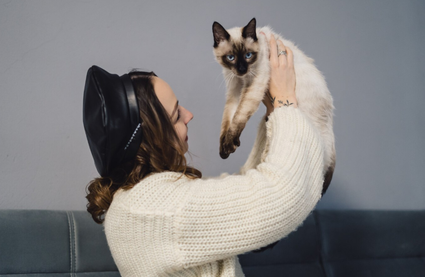 Types of Siamese Cats