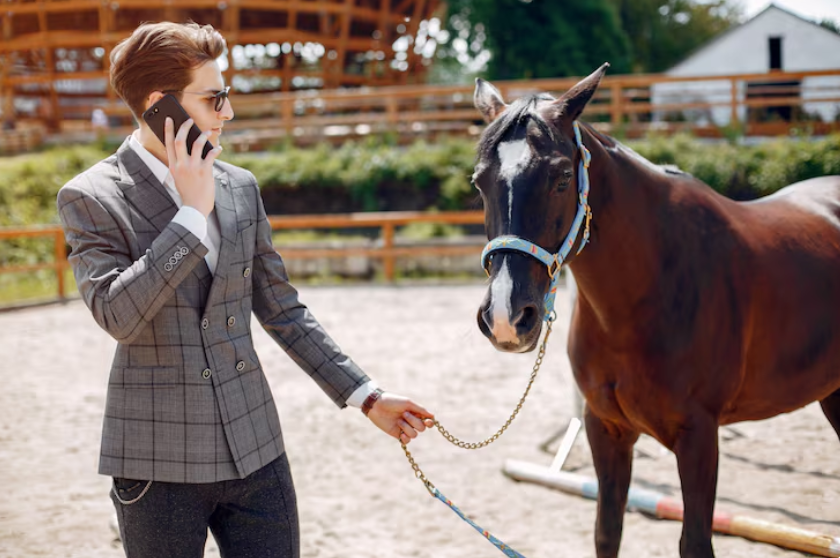 BK Horse