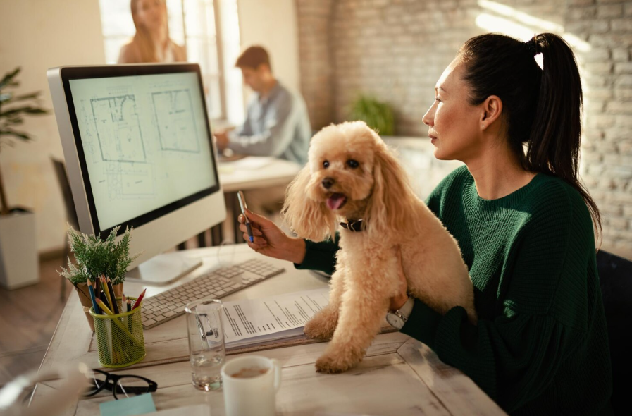 Pet5ardas.com