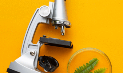 Dissecting Microscope