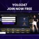 Yolo247