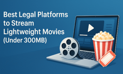 Downloadhub 300MB Movies