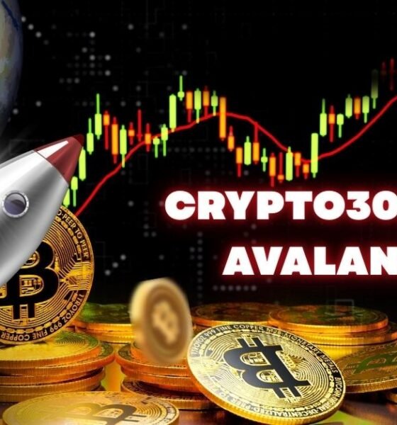 Crypto30x.com Avalanche