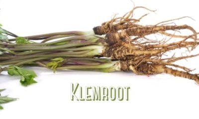 Klemroot