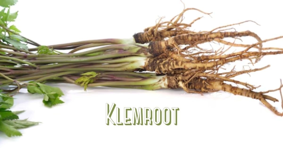 Klemroot