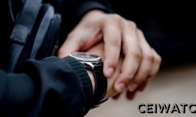 CEIWatch