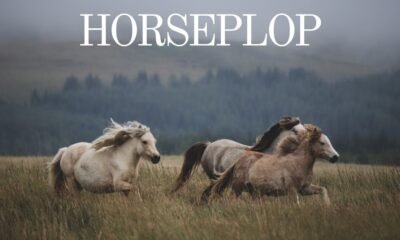 Horseplop