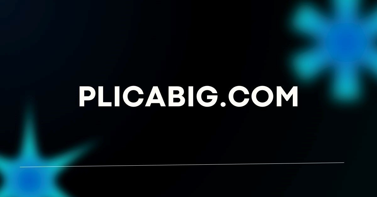plicabig.com