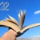 Book32