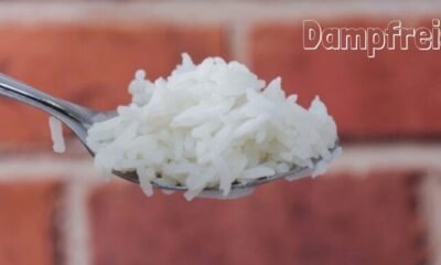 Dampfreis
