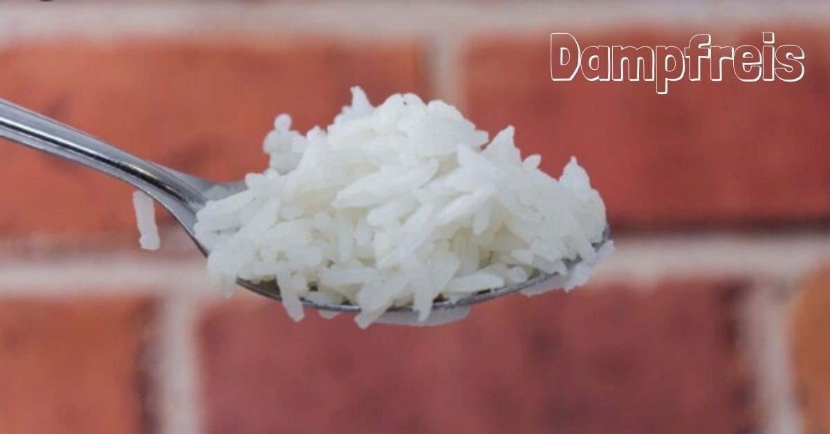 Dampfreis