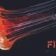 Fisila