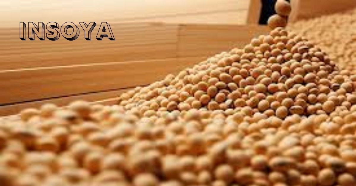 Insoya