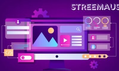 Streemaus