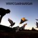 WinCompanion