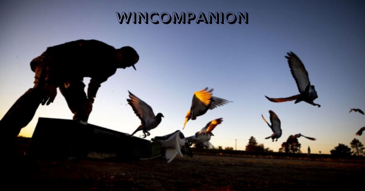 WinCompanion