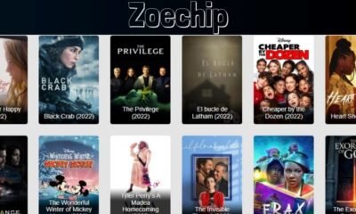 Zoechip