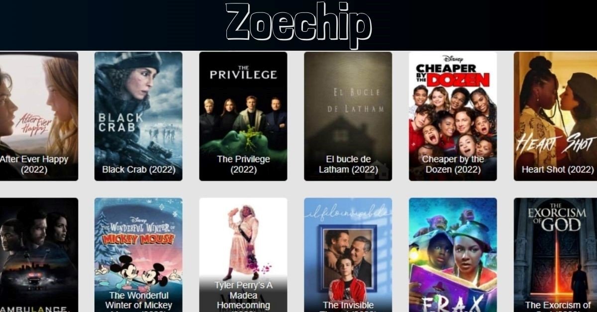Zoechip