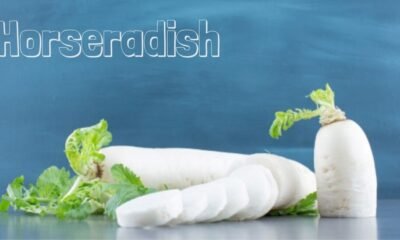 horseradish