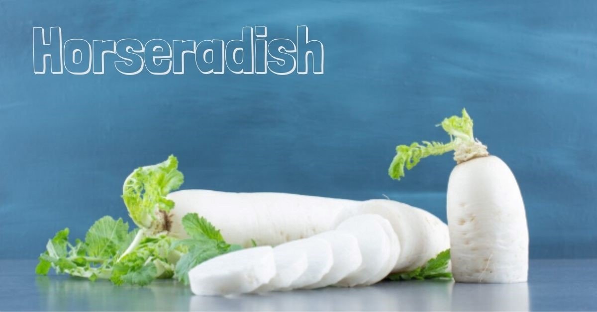 horseradish