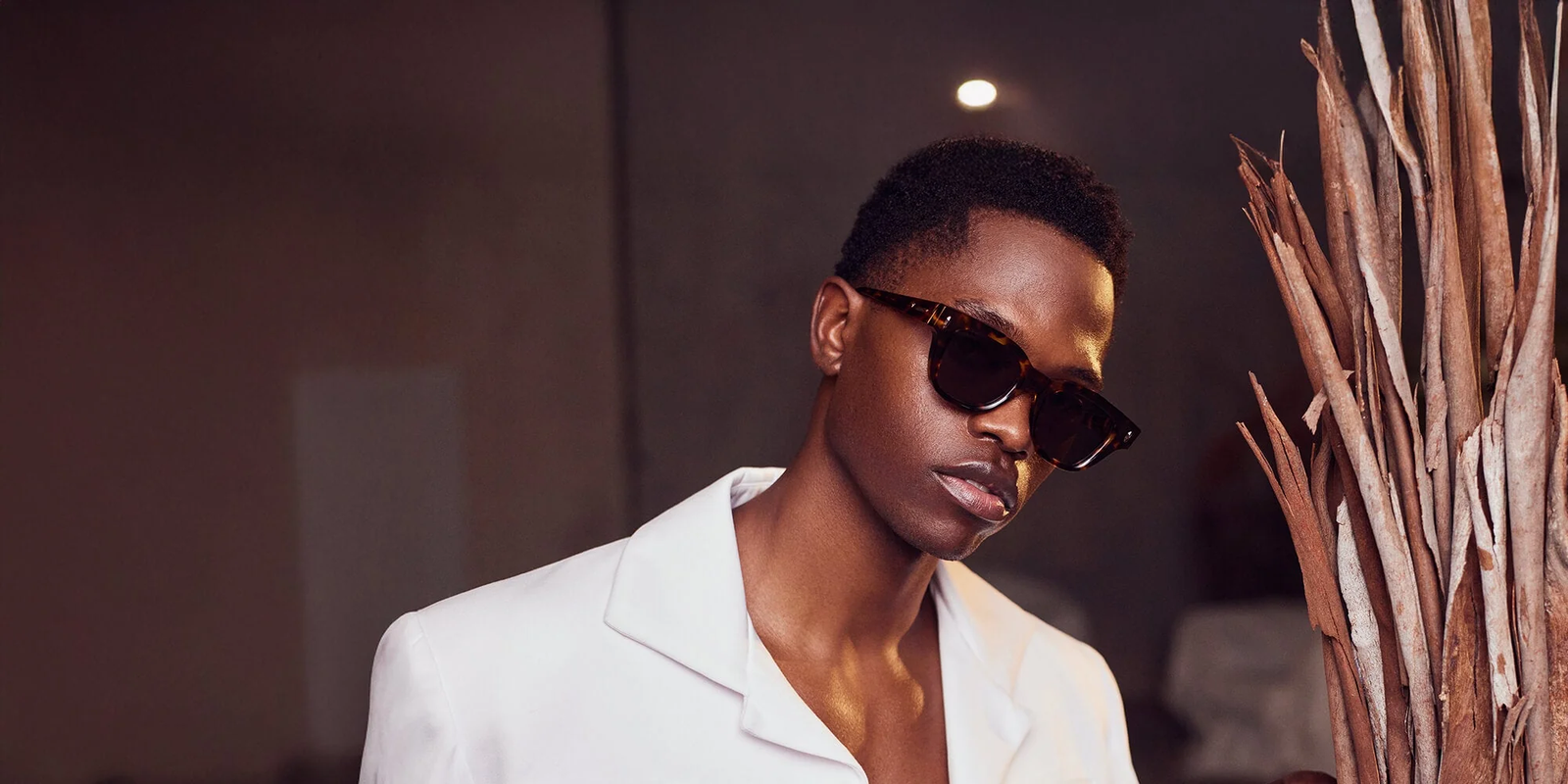Mens Sunglasses